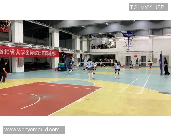武汉排球队逆袭之旅的真实记录与奋斗精神展现